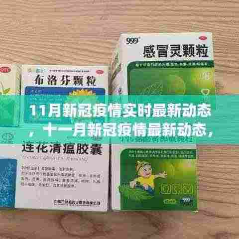 十一月新冠疫情最新动态,背景、进展与影响实时更新