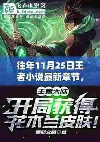 往年11月25日王者小说最新章节,全面评测与详细介绍