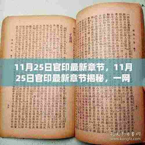 11月25日官印最新章节揭秘,一网打尽最新动态与精彩剧情概览