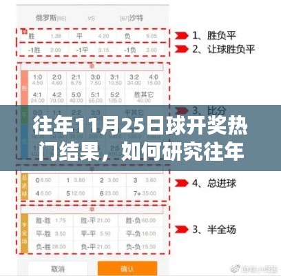往年11月25日与1月25日彩票开奖热门结果研究,初学者与进阶用户指南