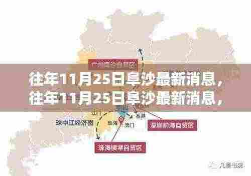 往年11月25日阜沙最新消息深度解析与观点探讨