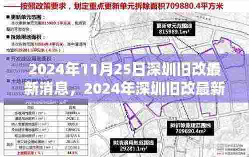 深圳旧改最新动态，聚焦城市更新进展与前景展望（2024年11月）