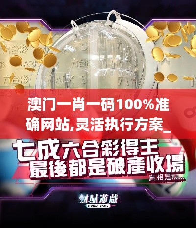澳门一肖一码100%准确网站,灵活执行方案_旗舰款AUH13.84