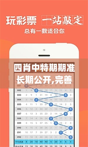 四肖中特期期准长期公开,完善实施计划_拍照版CXY13.58
