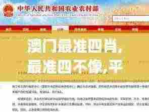 澳门最准四肖,最准四不像,平衡执行计划实施_内容版REF13.21