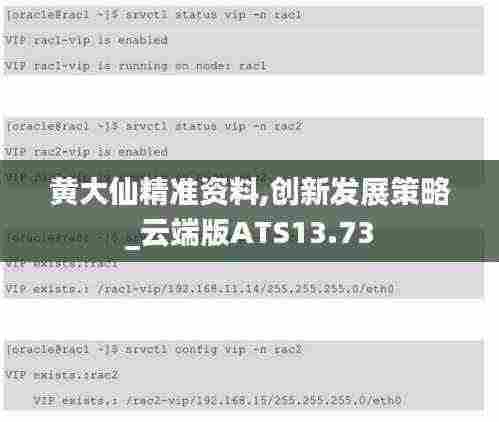 黄大仙精准资料,创新发展策略_云端版ATS13.73