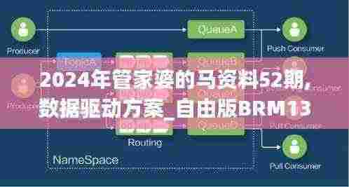 2024年管家婆的马资料52期,数据驱动方案_自由版BRM13.36