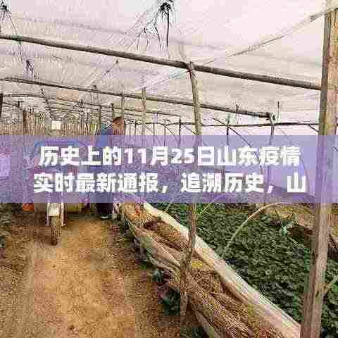 山东疫情实时最新通报,回顾历史篇章,聚焦11月25日数据