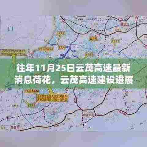 云茂高速荷花段深度解析与建设进展洞察，历年11月25日最新消息回顾与观点碰撞