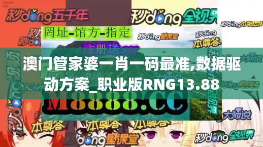 澳门管家婆一肖一码最准,数据驱动方案_职业版RNG13.88