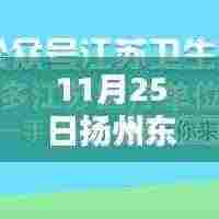 扬州东区招聘最新信息概览,聚焦11月25日动态