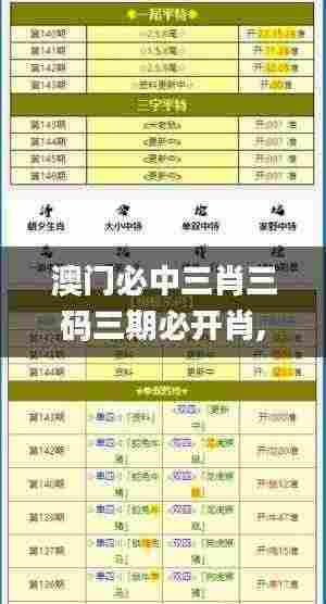 澳门必中三肖三码三期必开肖,全面设计实施_融合版WDL13.27