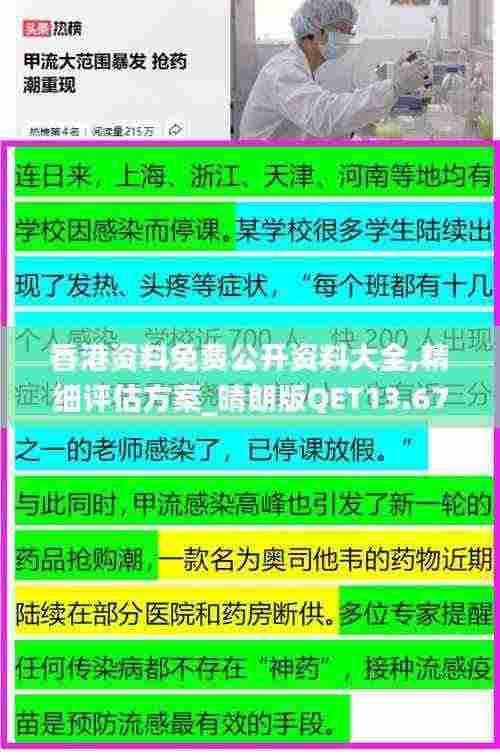 香港资料免费公开资料大全,精细评估方案_晴朗版QET13.67