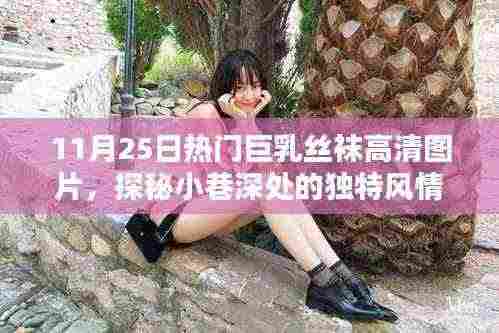 11月25日热门巨乳丝袜高清图片，探秘小巷深处的独特风情——一家隐藏版巨乳丝袜时尚小店