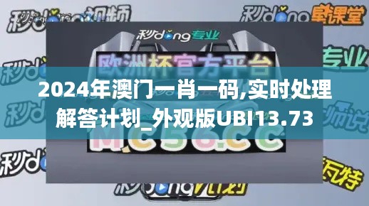 2024年澳门一肖一码,实时处理解答计划_外观版UBI13.73