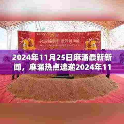 2024年11月25日麻涌新闻速递，热点一览