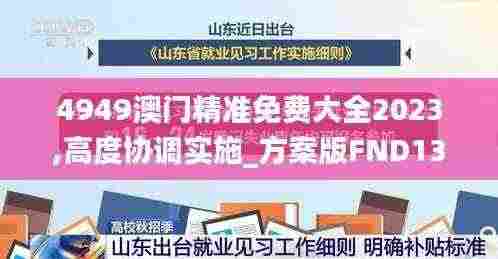 4949澳门精准免费大全2023,高度协调实施_方案版FND13.57