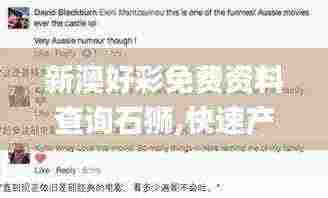 新澳好彩免费资料查询石狮,快速产出解决方案_便携版MHE13.85