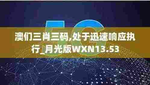 澳们三肖三码,处于迅速响应执行_月光版WXN13.53