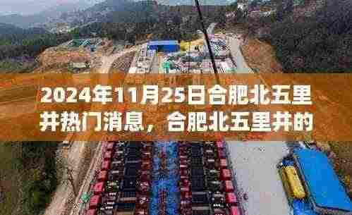 合肥北五里井温馨日常与奇遇,2024年11月25日的消息与故事