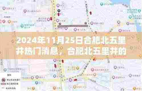 合肥北五里井温馨日常与奇遇,2024年11月25日的消息与故事