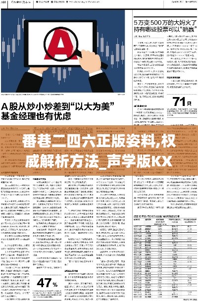 番巷二四六正版姿料,权威解析方法_声学版KXG13.23