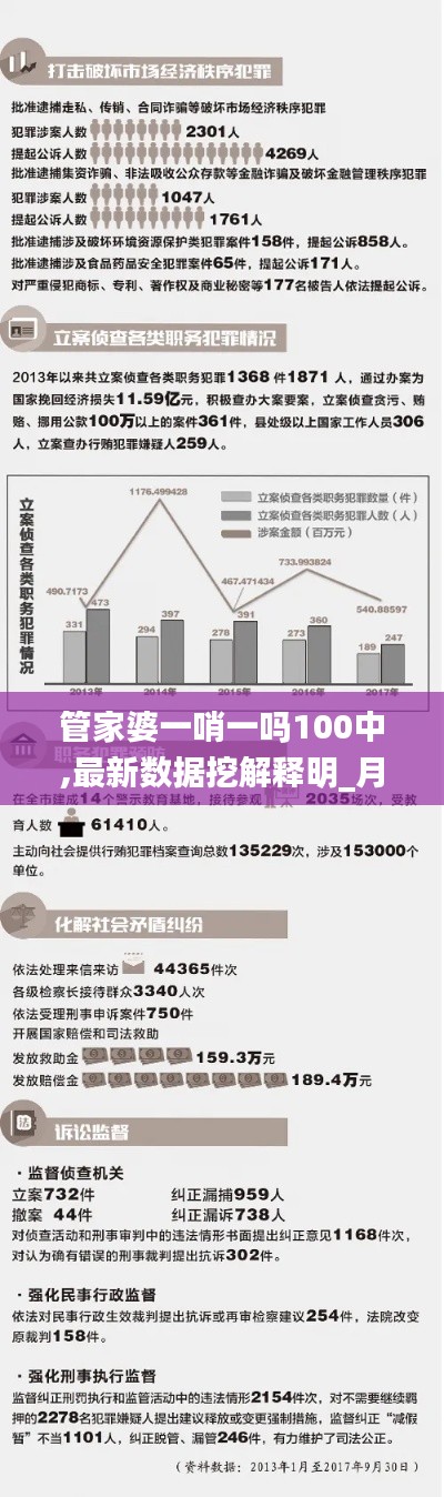 管家婆一哨一吗100中,最新数据挖解释明_月光版GRR13.13