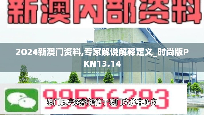 2O24新澳门资料,专家解说解释定义_时尚版PKN13.14