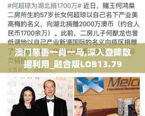 澳门慈善一肖一马,深入登降数据利用_融合版LOB13.79