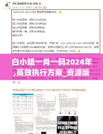 白小姐一肖一码2024年,高效执行方案_资源版LKS13.43