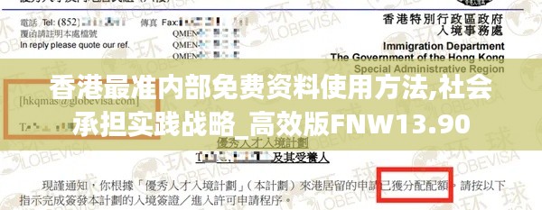 香港最准内部免费资料使用方法,社会承担实践战略_高效版FNW13.90
