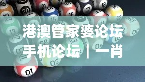 港澳管家婆论坛手机论坛|一肖一码大公开|内部三肖|一肖中特公开|历史开奖记录,方案优化实施_原汁原味版IQE13.97