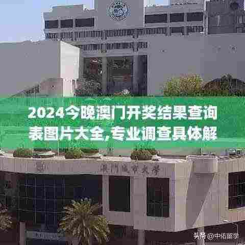 2024今晚澳门开奖结果查询表图片大全,专业调查具体解析_贴心版LEZ13.95