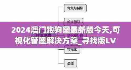2024澳门跑狗图最新版今天,可视化管理解决方案_寻找版LVI13.54