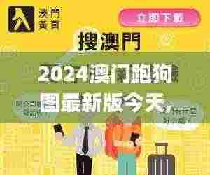 2024澳门跑狗图最新版今天,可视化管理解决方案_寻找版LVI13.54