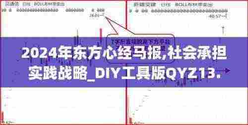 2024年东方心经马报,社会承担实践战略_DIY工具版QYZ13.99
