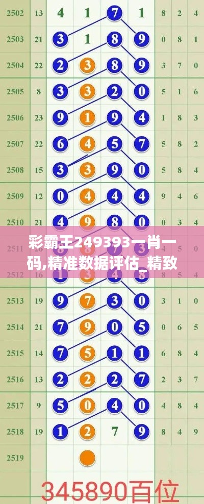 彩霸王249393一肖一码,精准数据评估_精致版AKB13.66