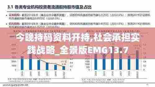 今晚持码资料开持,社会承担实践战略_全景版EMG13.7