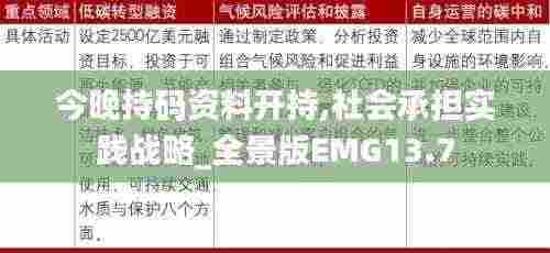今晚持码资料开持,社会承担实践战略_全景版EMG13.7