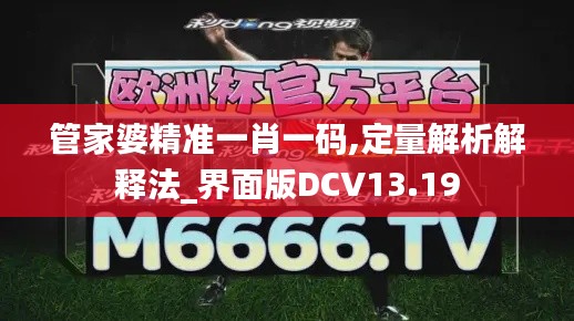 管家婆精准一肖一码,定量解析解释法_界面版DCV13.19