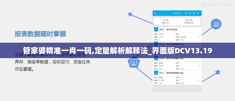 管家婆精准一肖一码,定量解析解释法_界面版DCV13.19
