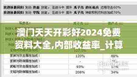 澳门天天开彩好2024免费资料大全,内部收益率_计算能力版LXH13.81