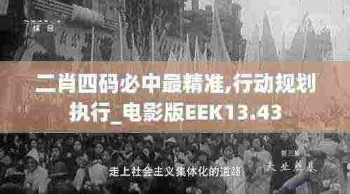 二肖四码必中最精准,行动规划执行_电影版EEK13.43