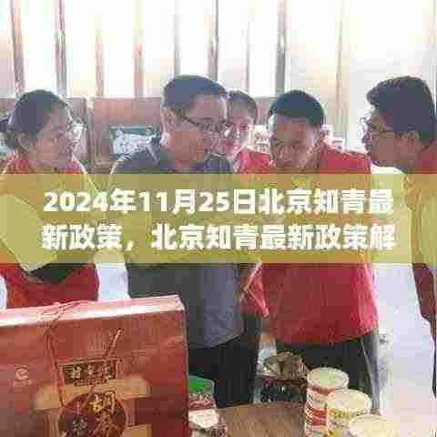 北京知青最新政策解读,聚焦未来动向(截至2024年11月25日)
