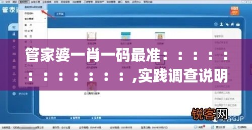 管家婆一肖一码最准::::::::::::,实践调查说明_随行版ICT13.56