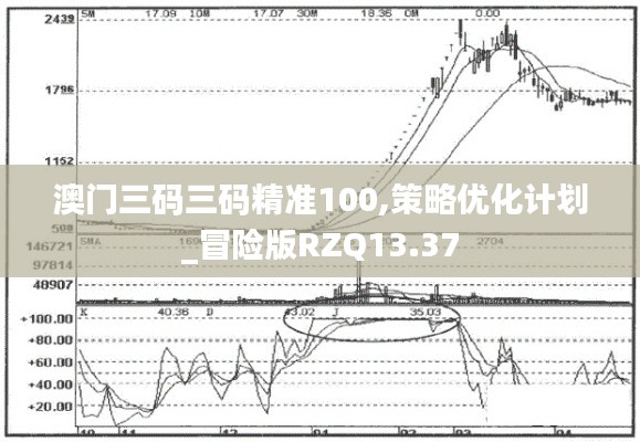 澳门三码三码精准100,策略优化计划_冒险版RZQ13.37