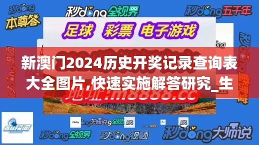 新澳门2024历史开奖记录查询表大全图片,快速实施解答研究_生活版FVI13.78