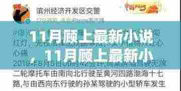 11月顾上最新小说深度测评与介绍