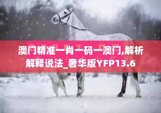 澳门精准一肖一码一澳门,解析解释说法_奢华版YFP13.6