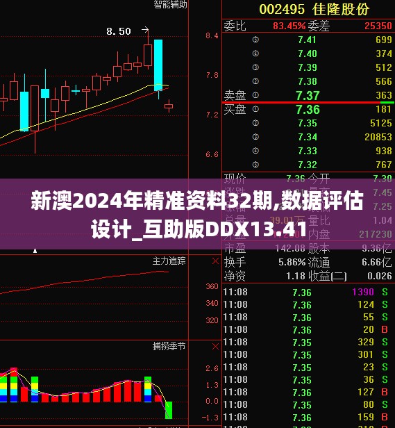 新澳2024年精准资料32期,数据评估设计_互助版DDX13.41